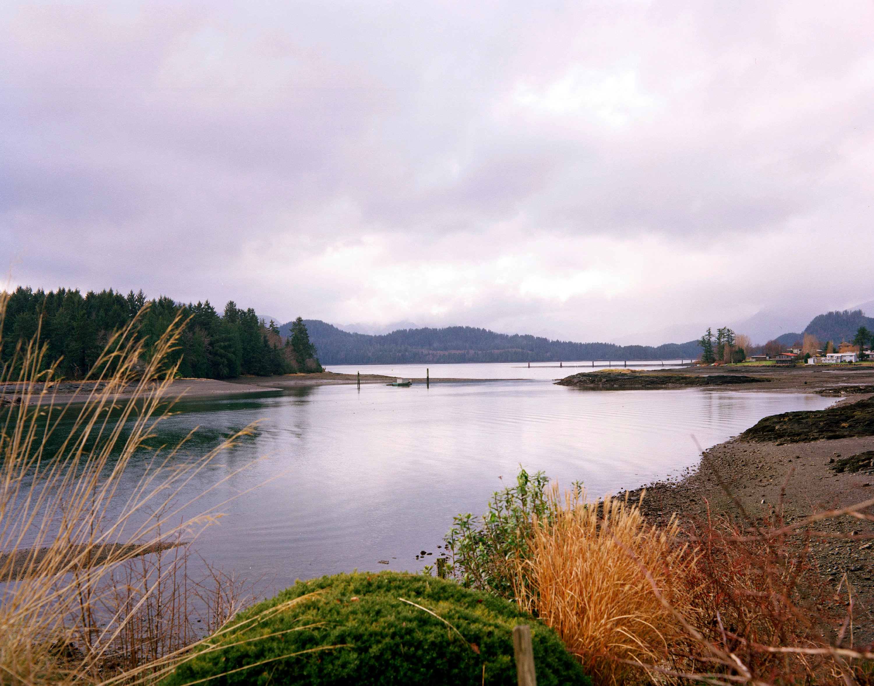 Haida Gwaii, a Canadian archipelago south of Alaska. Photo by Farah Nosh/Getty Images.