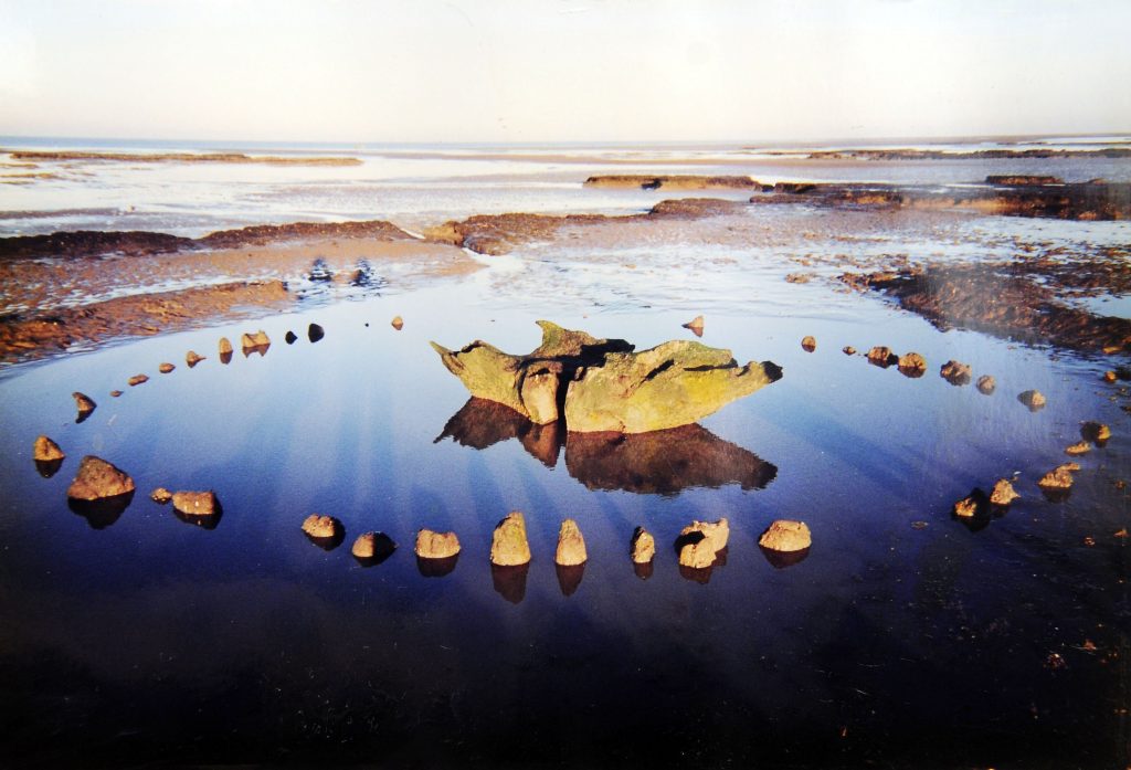 Wendy George's photo of Seahenge which was discovered on Holme Beach. Courtesy The British Museum
