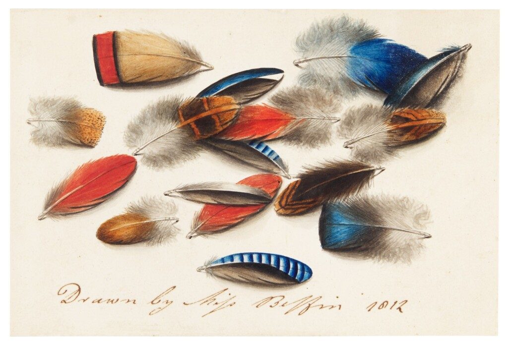 Sarah Biffin, <em>Study of Feathers</em> (1812). The watercolor sold for £65,520 ($90,335), on a high estimate of £6,000 ($8,272). Photo courtesy of Sotheby's London. 