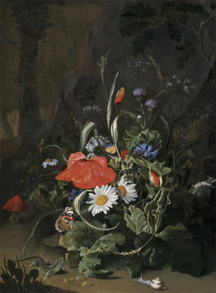 Anna Ruysch, <i>Woodland Scene with Flowers</i>, (1685-1687). Courtesy of the Hoogsteder Museum Foundation, The Hague.