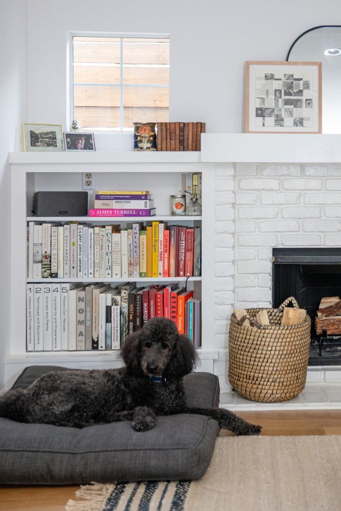 Liza’s dog Ollie with artwork by Sara Sackner above fireplace. Photo by Brett William Childs.