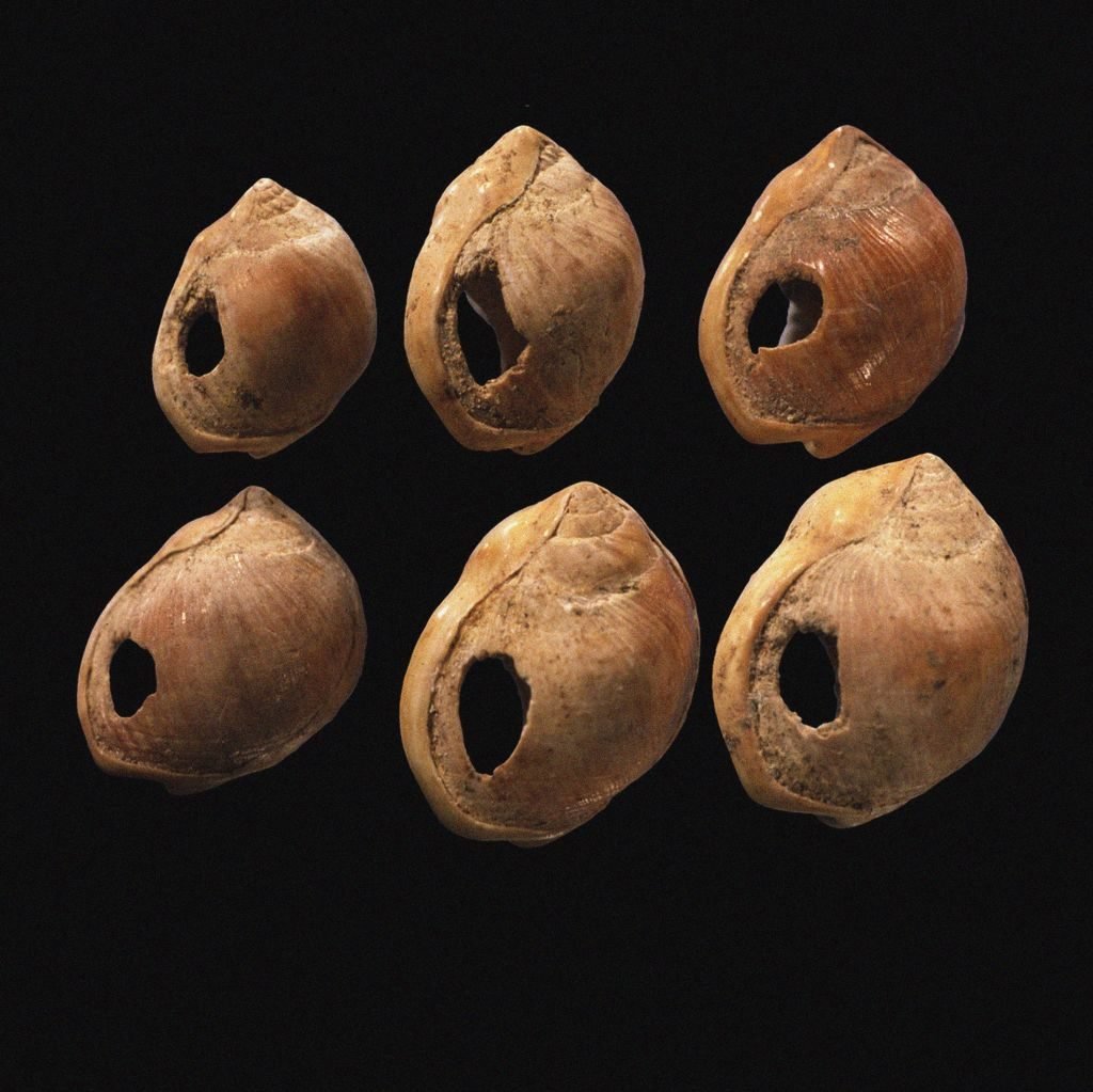 Manik-manik kerang berusia 75.000 tahun berlubang ditemukan di gua Blombos, Afrika Selatan.  Foto: Gambar Seni Rupa/Gambar Warisan/Gambar Getty.