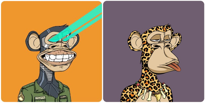 The Bored Apes used as avatars by Yuga Labs cofounders Wylie Aronow (fka Gordon Goner) and Greg Solano (fka Gargamel). Courtesy of Twitter.