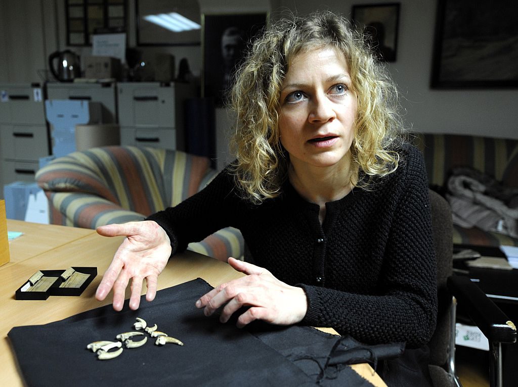 Anthropologist Davorka Radovčić, a curator at the Croatian Natural History Museum in Zagreb, with white-tailed eagle talons turned jewelry from 130,000 years ago, found at the Krapina Neanderthal site. Photo: STR/AFP via Getty Images.
