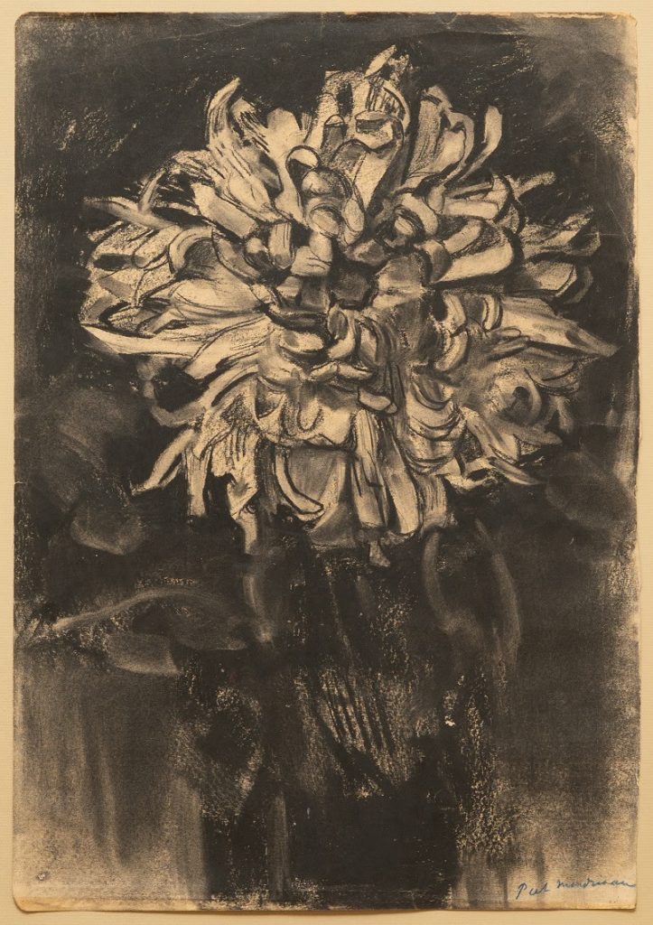 Piet Mondrian, Chrysanthemum flower (1908)