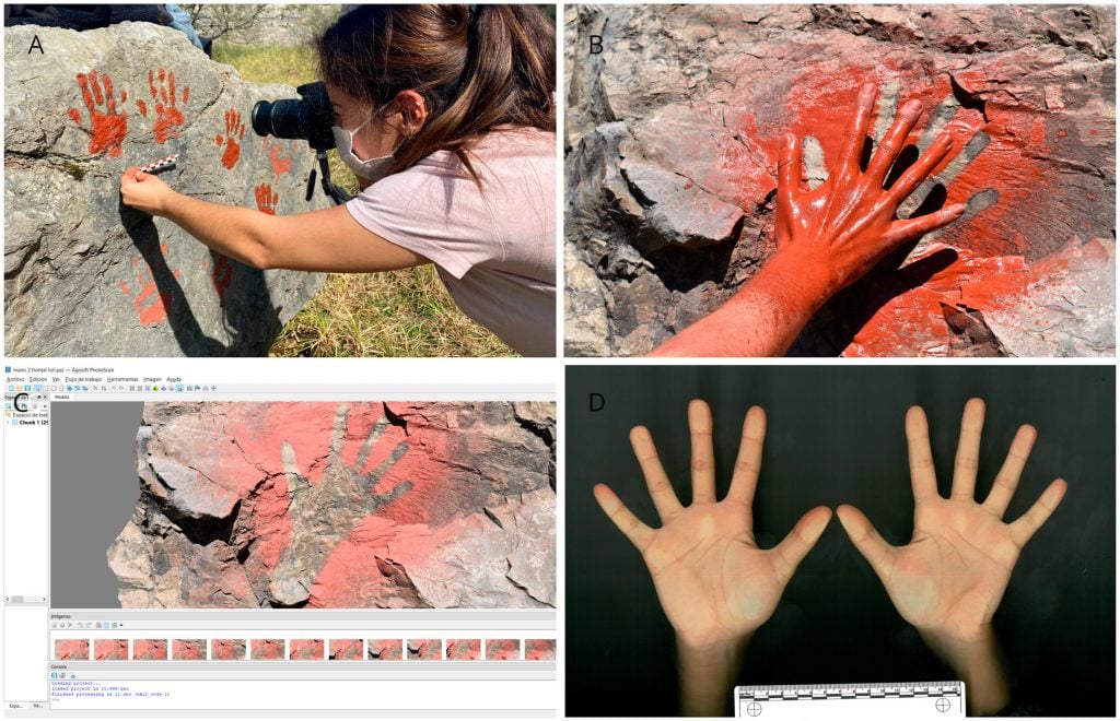 A) The photogrammetry process of making measurements using photographs. B) Experimental hand stencil. C) Experimental hand stencil 3-D model. D) Modern sample of scanned hands. Photo courtesy of Verónica Fernández-Navarro.