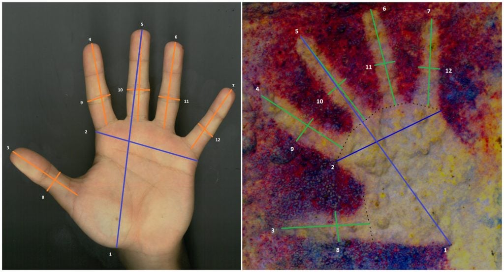 Comparing hand measurement from a contemporary child and an ancient hand painting from a Spanish cave. Photo courtesy of Verónica Fernández-Navarro.