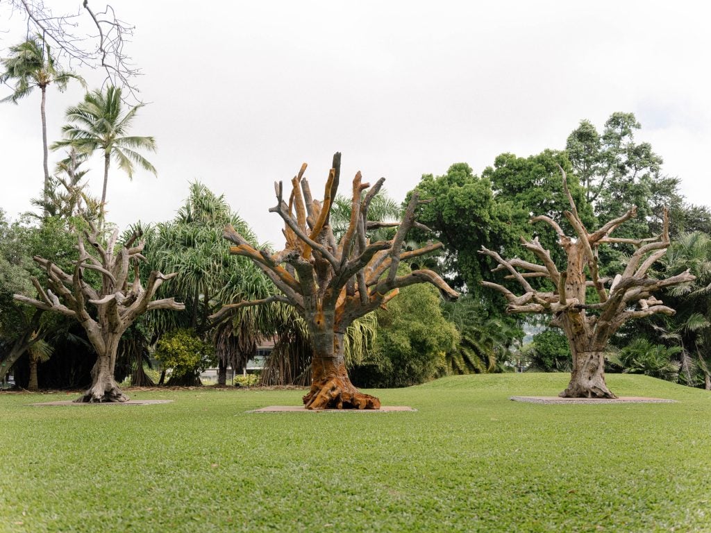 Installation view of Ai Weiwei's <i>Tree</i> (2010); <i>Iron Tree</i>, (2020); and <i>Tree</i>, (2010). Hawai‘i Triennial 2022, Foster Botanical Garden, Honolulu. Courtesy of the artist and Hawai‘i Contemporary. © Ai Weiwei. Photo: Lila Lee.