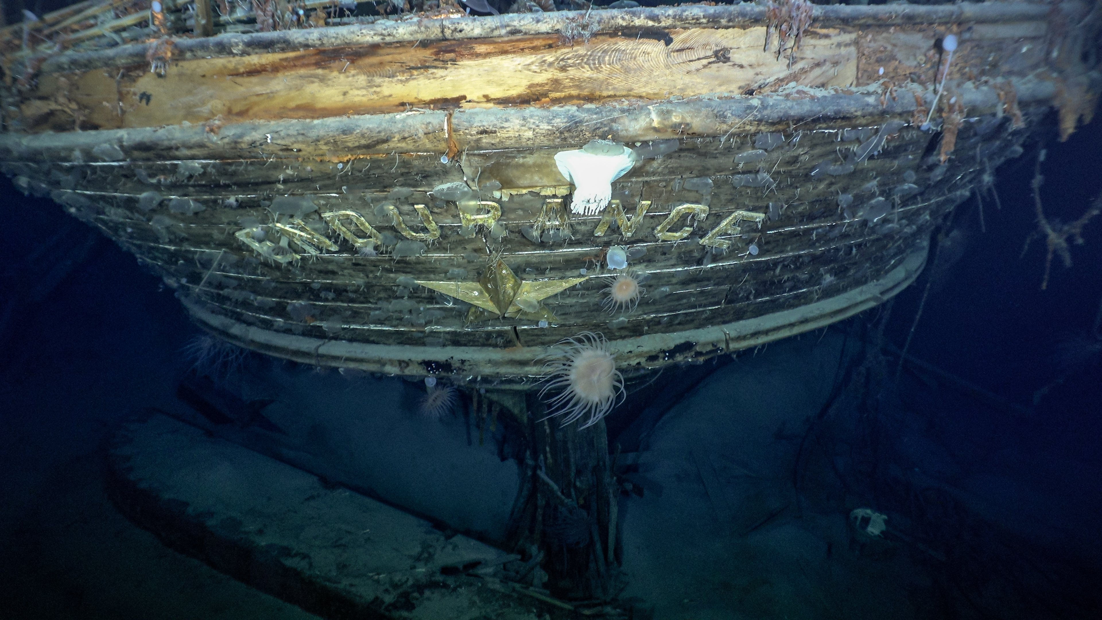 Stern of the Endurance with the name and emblematic polestar. Photo ©Falklands Maritime Heritage Trust/National Geographic.