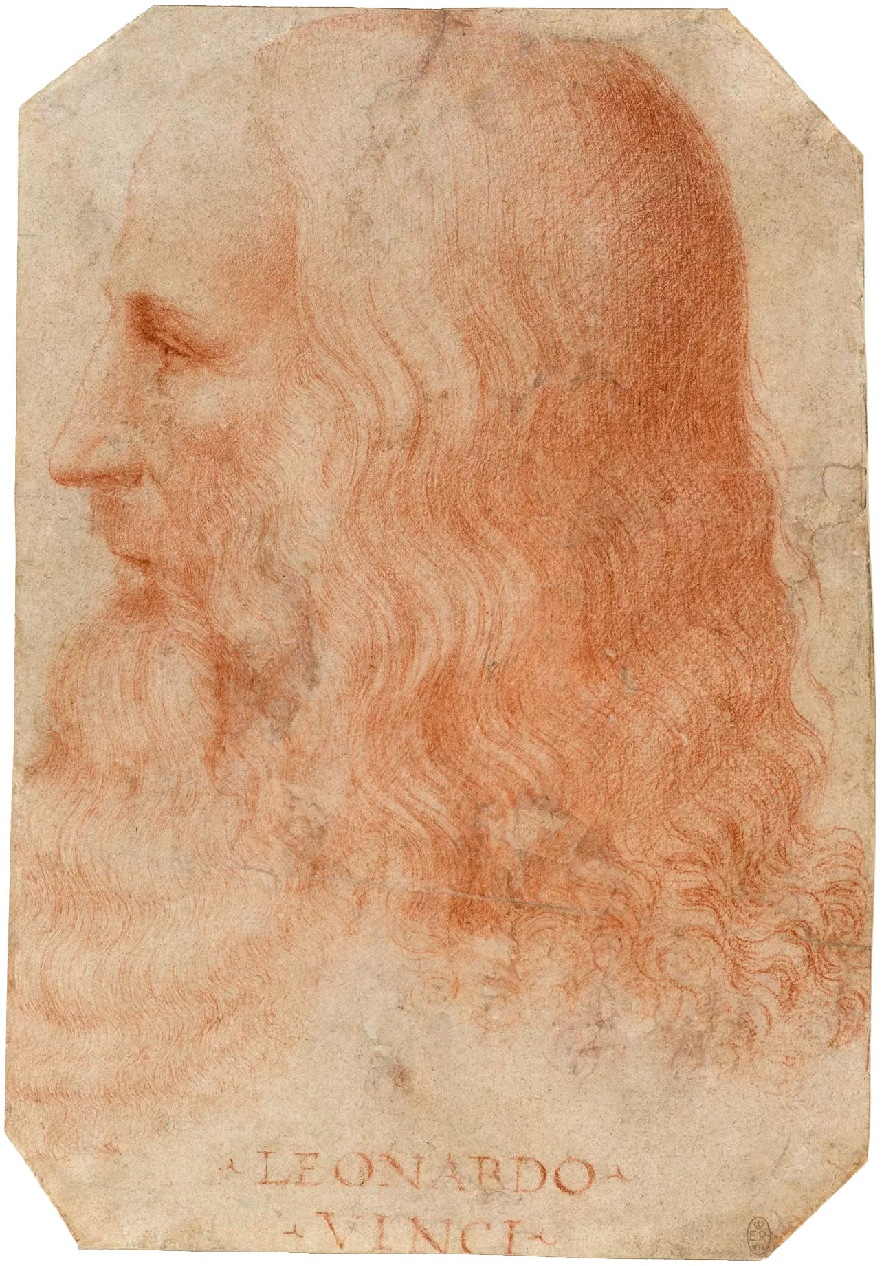 Ce portrait attribué à Francesco Melzi, c.  1515-1518, est la seule représentation contemporaine certaine de Léonard.