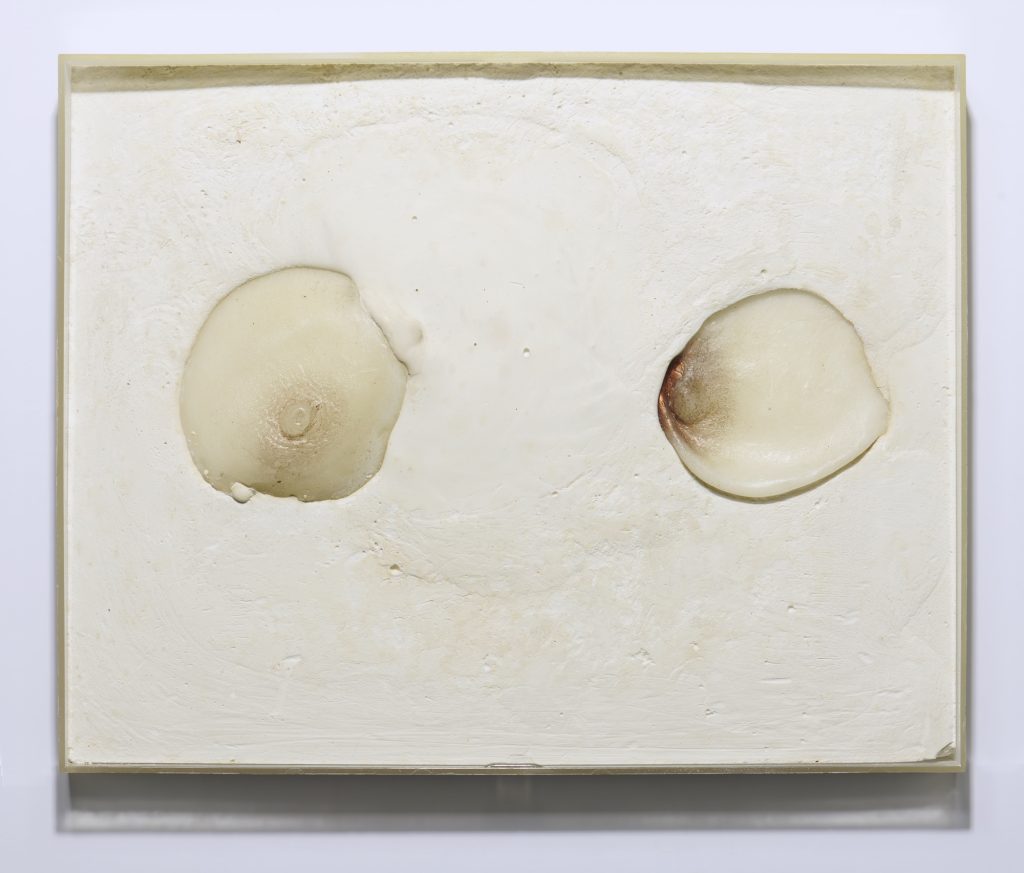 Lynn Hershman Leeson, Fried Eggs for Russel. Courtesy of the G. Austin Conkey Collection.