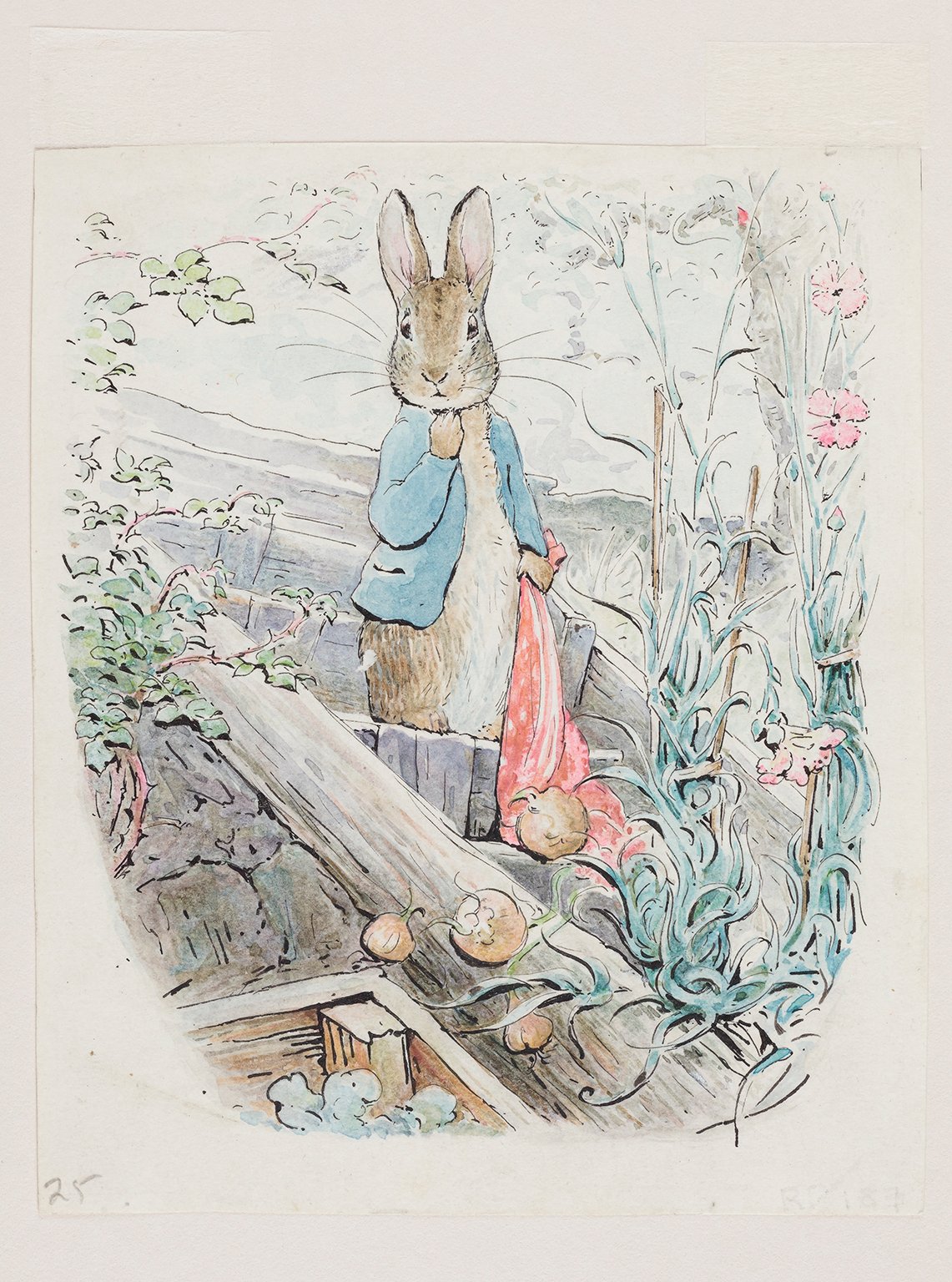 See Beloved Creator Beatrix Potter’s Magical Drawings From Nature as They Go on View in London