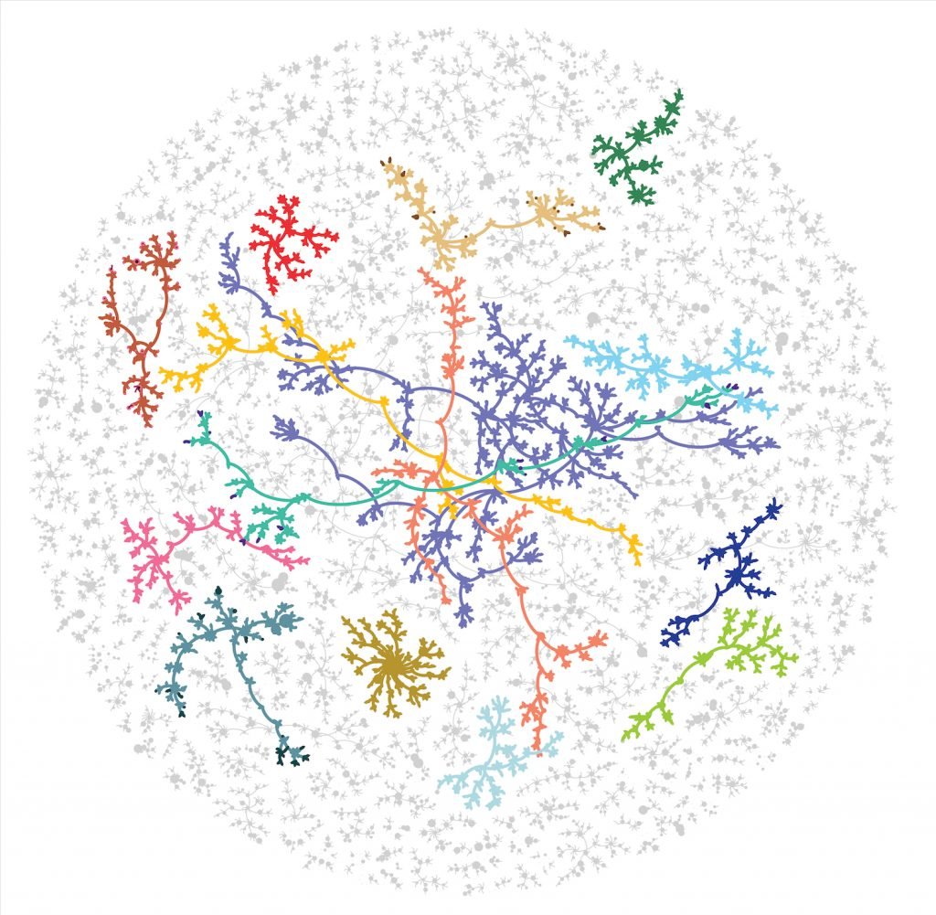 Network map of the 204 artist clusters that emerged during Foundation's first 100 days, showing which artists invited which others onto the platform. The 20 largest clusters by quantity of artists are each displayed in a different color, with each node corresponding to a single artist, and the size of each node corresponding to that artist's sales volume. Visualization by Barabási Lab. Courtesy of Barabási Lab.