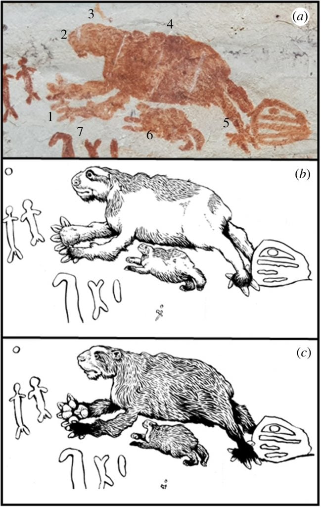 Part of an eight-mile rock art mural at Serranía de la Lindosa in Colombiam this image may depict an extinct giant ground sloth and its offspring. Drawings by Mike Keesey offer artistic reconstructions patterned after a close living relative, the three-toed sloth, center, and an extinct bear species, Arctotherium, bottom. Photo courtesy of José Iriarte.