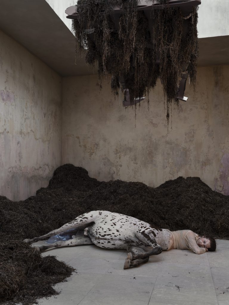 Uffe Isolotto. "We Walked the Earth." Pavilion of Denmark, Biennale Arte, 2022. ©Ugo Carmeni.