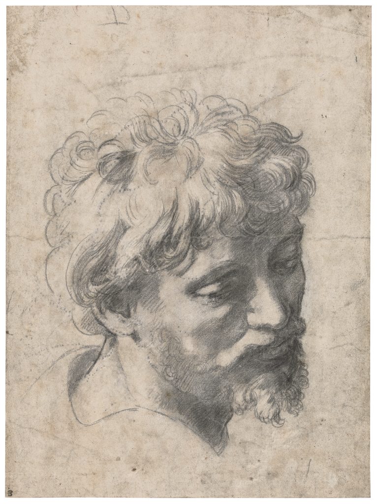 Raphael, <i>Study for the Head of an Apostle in the Transfiguration</i>. © Private Collection. 