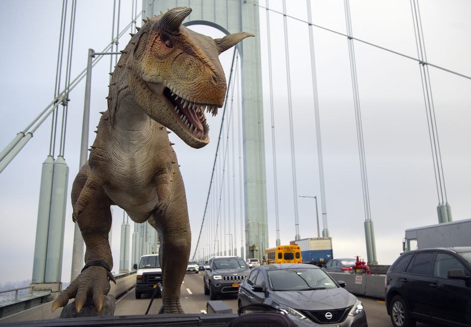 A dinosaur sculpture of a Carnotaurus crosses the Whitestone Bridge to arrive at the Bronx Zoo. Photo by Julie Larsen, ©WCS.