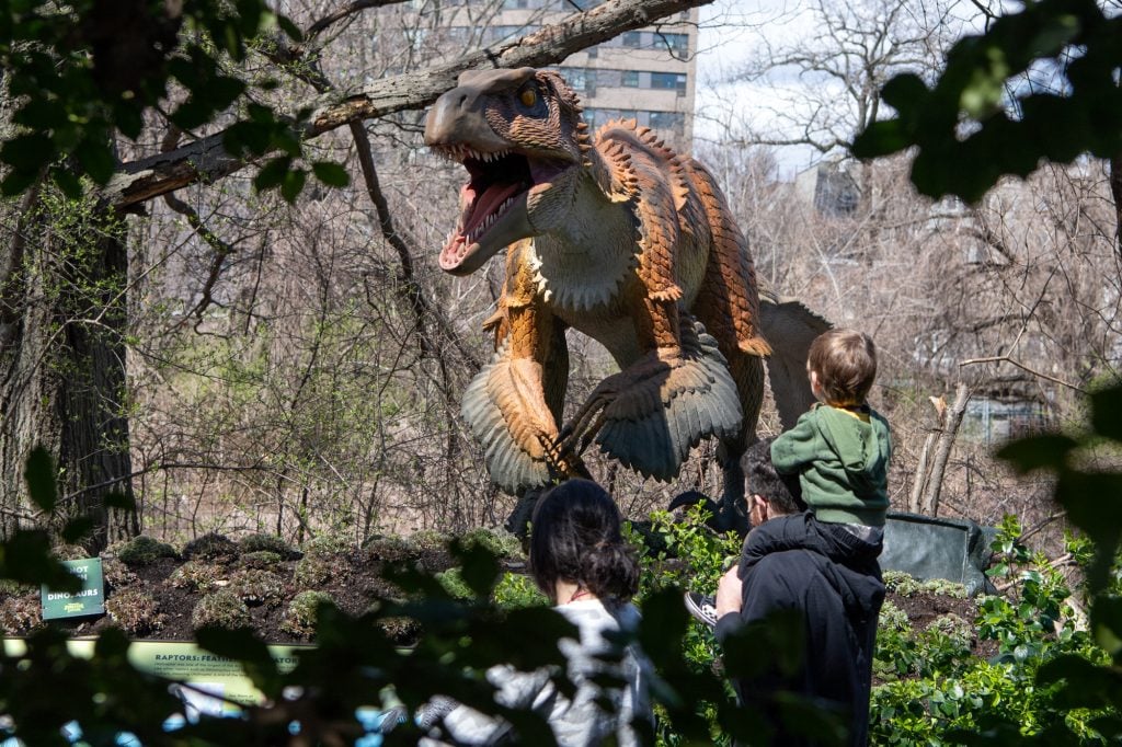 "сафари динозавр" В зоопарке Бронкса.  Фотография Джули Ларсен, © WCS.