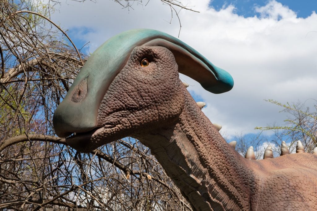 "Dinosaur Safari" at the Bronx Zoo. Photo by Julie Larsen, ©WCS.