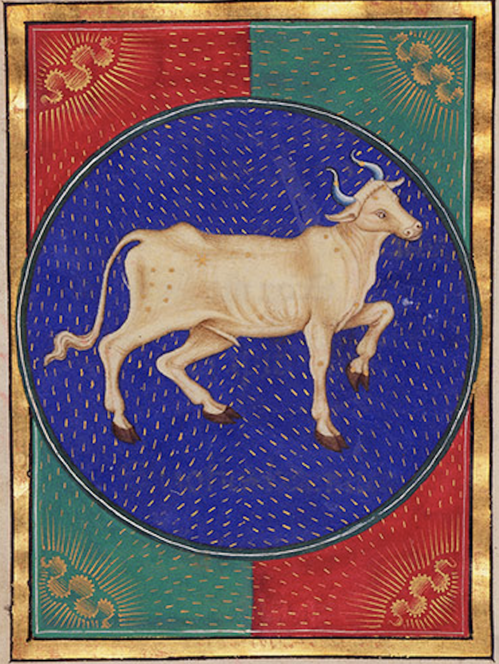 Taurus From a Book of Hours (G14, f.6) Italy, perhaps Milan Third quarter of the Fifteenth Century. Courtesy of the Morgan Library & Museum.