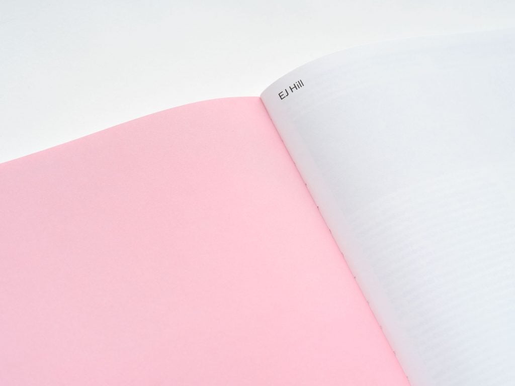 A blank pink page from EJ Hill's Contributions to the 2022 Whitney Biennial.  Photo: Paul Salvation.