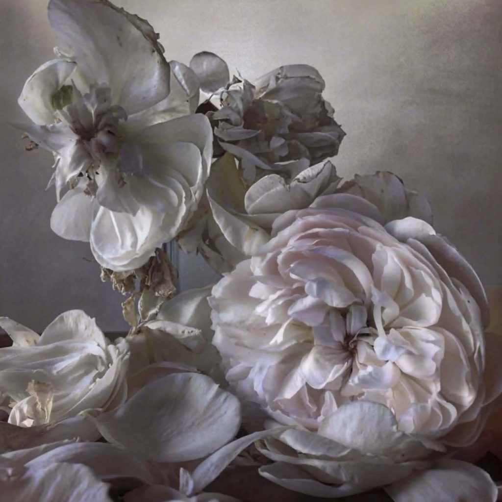 Nick Knight, Saturday, 8 August 2015 (2019). Courtesy of Sloane Street Auctions.