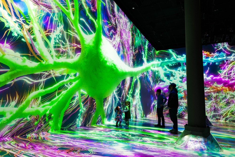 "Life of a Neuron," a collaboration with the Society for Neuroscience at Artechouse. Photo courtesy of Artechouse.