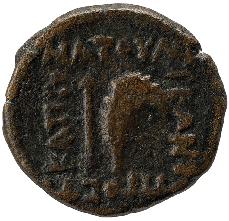 A coin of Natounia. Photo ©the Trustees of the British Museum. 