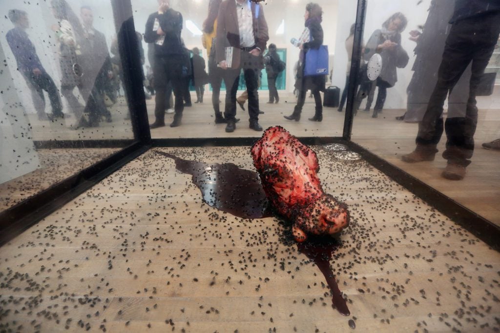 People view a fly-covered cow's head, part of an artwork by Damien Hirst entitled 'A Thousand Years' in the Tate Modern art gallery on April 2, 2012 in London, England.Photo by Oli Scarff/Getty Images.