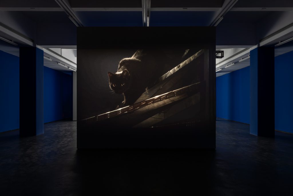 Installation view of Un chat noir passe entre nous (2018) . Courtesy of the Rockbund Art Museum.