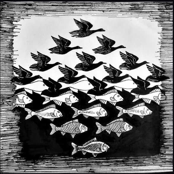 M.C. Escher, Sky and Water. ©The M.C. Escher Company, The Netherlands; courtesy of Michael S. Sachs.