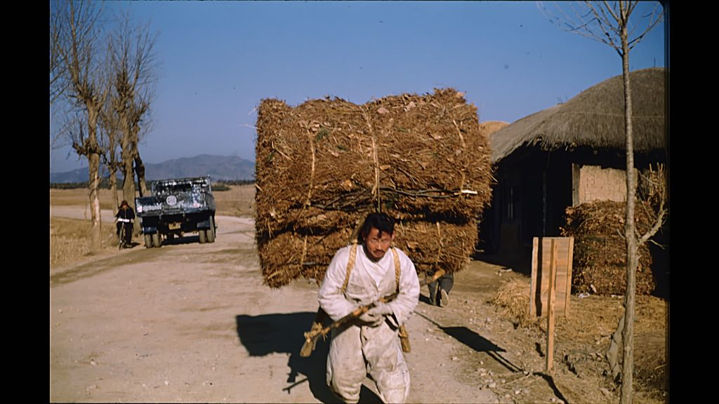 Marie Ann Han Yoo, <em>Man hauling twigs</em>. Photo courtesy of Marie Ann Han Yoo. 