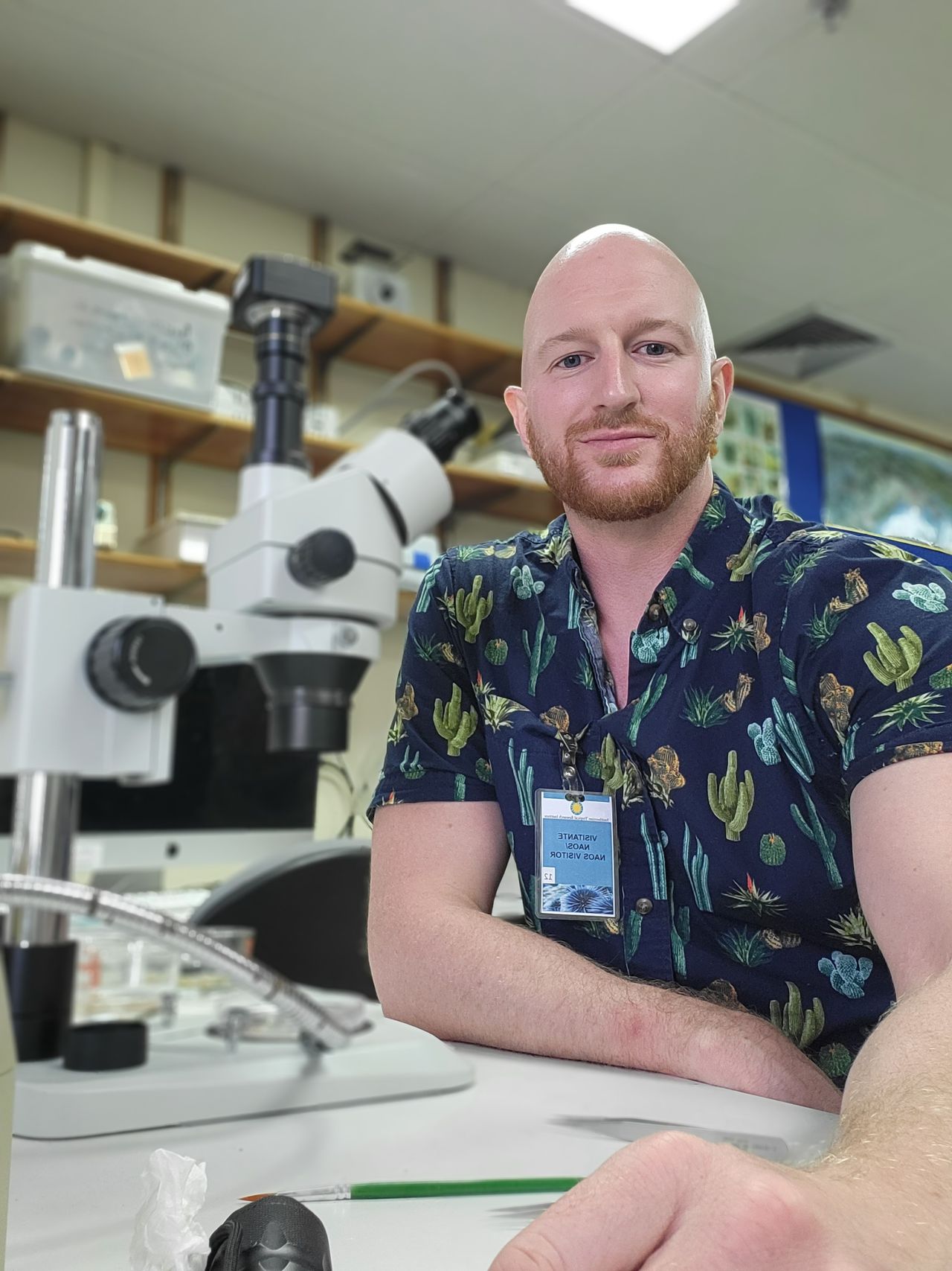 Reuben Shipway of the University of Plymouth in the U.K. found shipworms eating the shipwreck tentatively identified as the Endeavour. Photo courtesy of the Rhode Island Marine Archaeology Project.