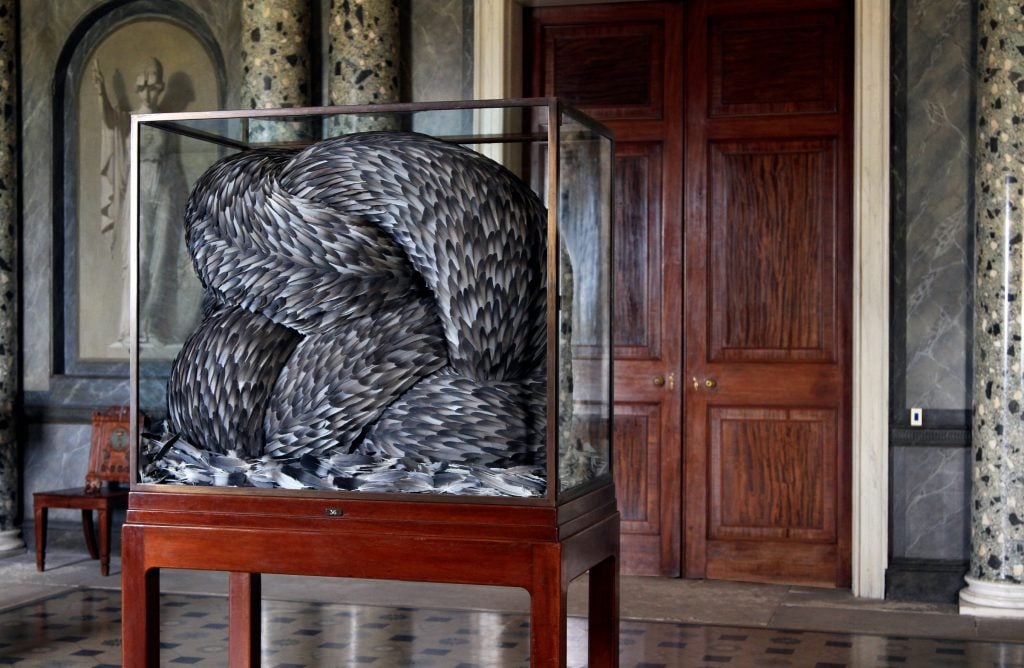 MccGwire's pigeon-feather sculpture, <i>Vex</i> (2008). Courtesy of the artist.