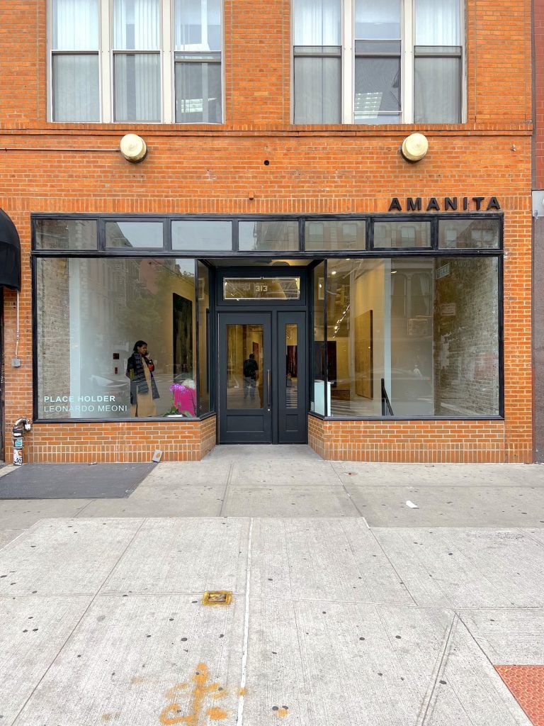 Amanita Gallery