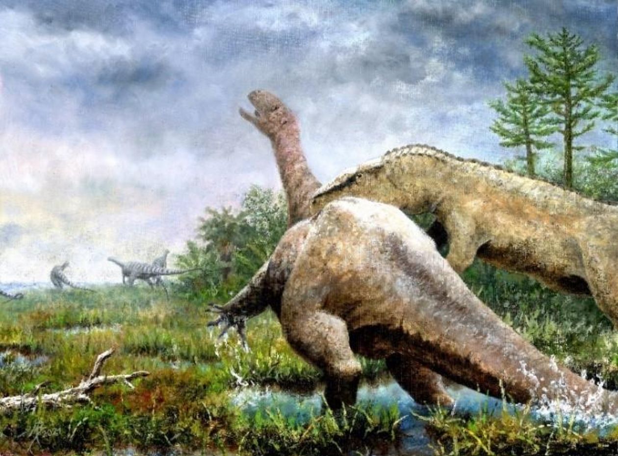 Experts Identified A New Species Of Dinosaur After Realizing A Fossil ...