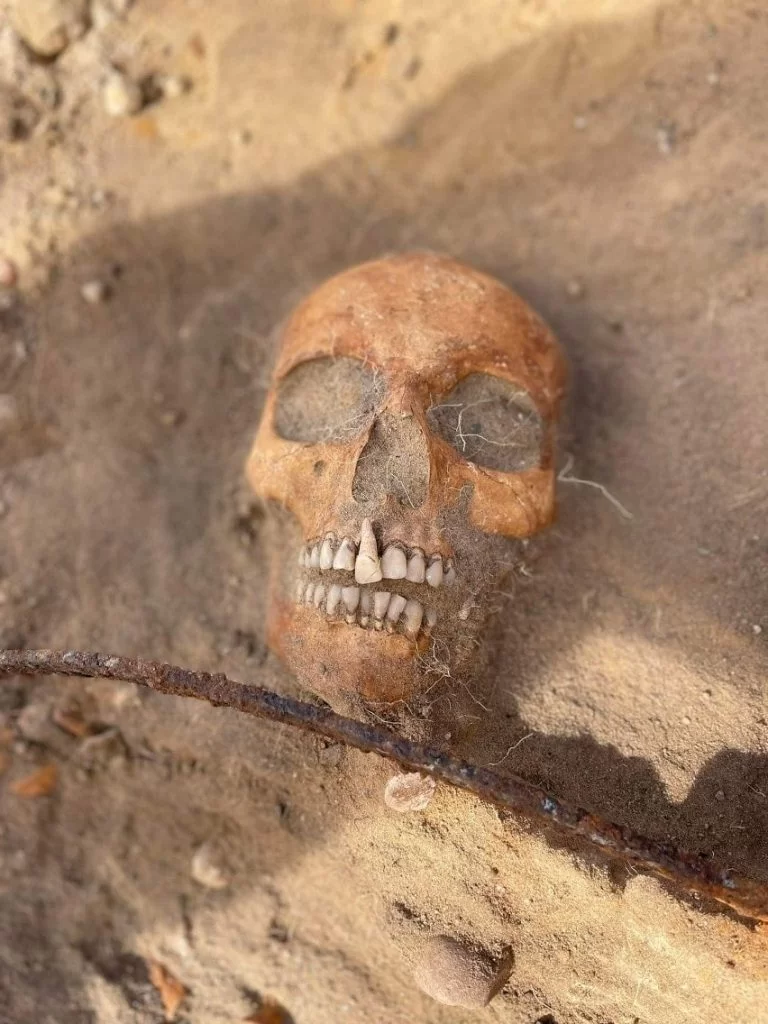 Archaeologists in Poland discovered a "vampire" skeleton with a sickle over the throat. Photo by Mirosław Blicharski/Aleksander Poznań.