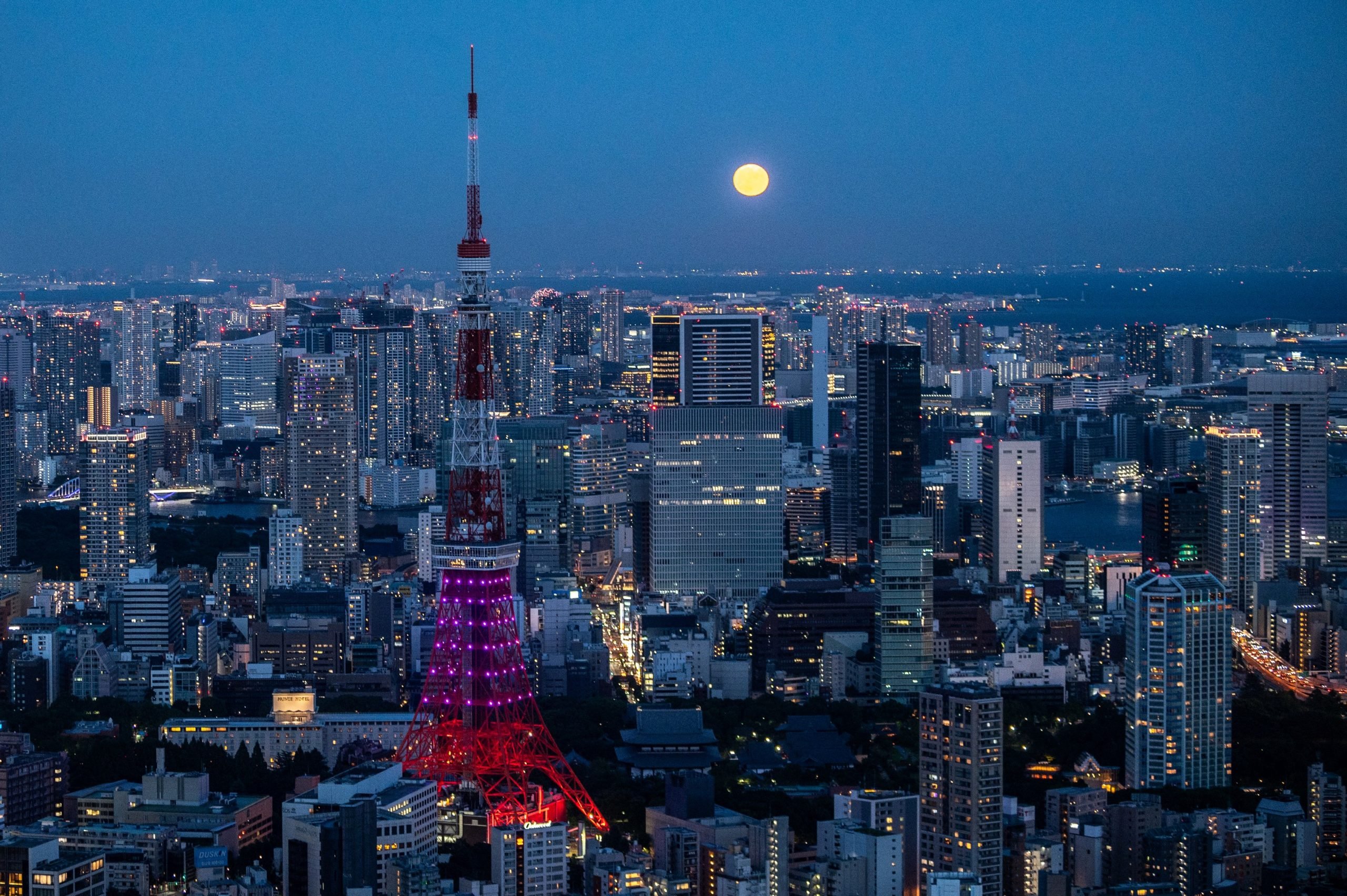 Tokyo skyline