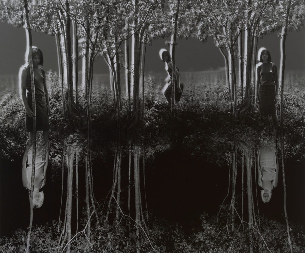 Jerry N. Uelsmann, <i>Small Woods Where I Met Myself</i> (1967). Image courtesy Luc Demers. ©Jerry N. Uelsmann. Courtesy of Judy Glickman Lauder.