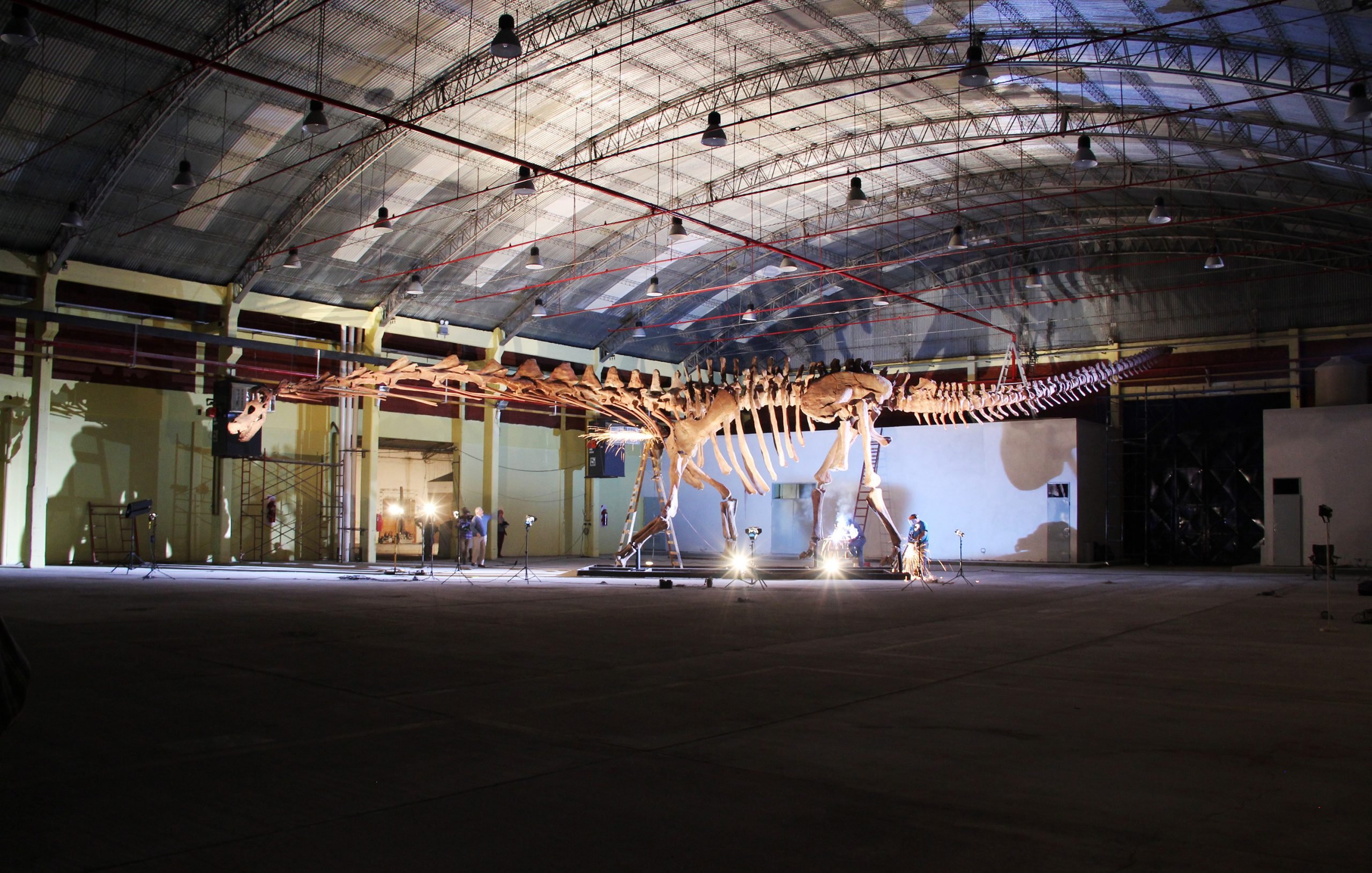 A Life-Size Cast of the Titanosaur, the World's Largest Is Coming to London's Natural History Museum. It'll Be a Tight Squeeze