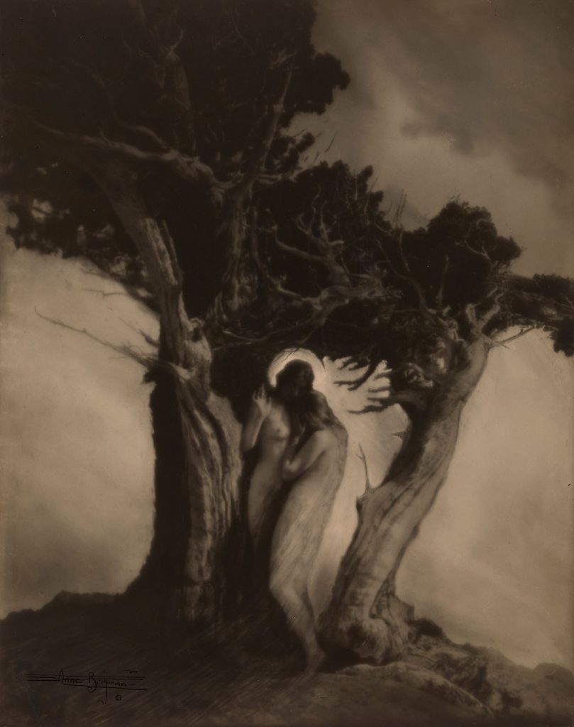 Anne Brigman, <i>The Heart of the Storm</i> (1912). Image courtesy Luc Demers. Courtesy of Judy Glickman Lauder.