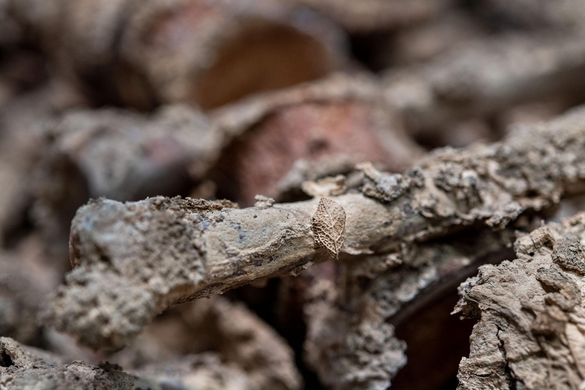 Archaeologists Have Pinpointed The Origins Of Two Mysterious Sarcophagi ...