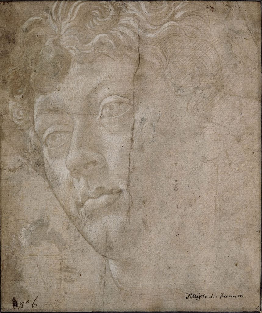 Sandro Botticelli, Head of a Youth, Turned to the Left (ca. 1480).