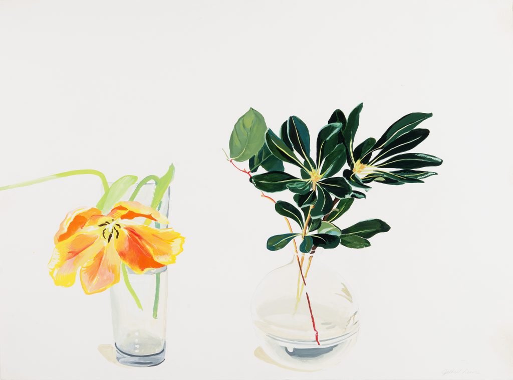 Still Life with Tulip, 1984, by Gilbert Lewis. Gouache on Arches paper, 22 x 30 in. (Woodmere Art Museum: Gift of Eric Rymshaw and James Fulton, 2017)