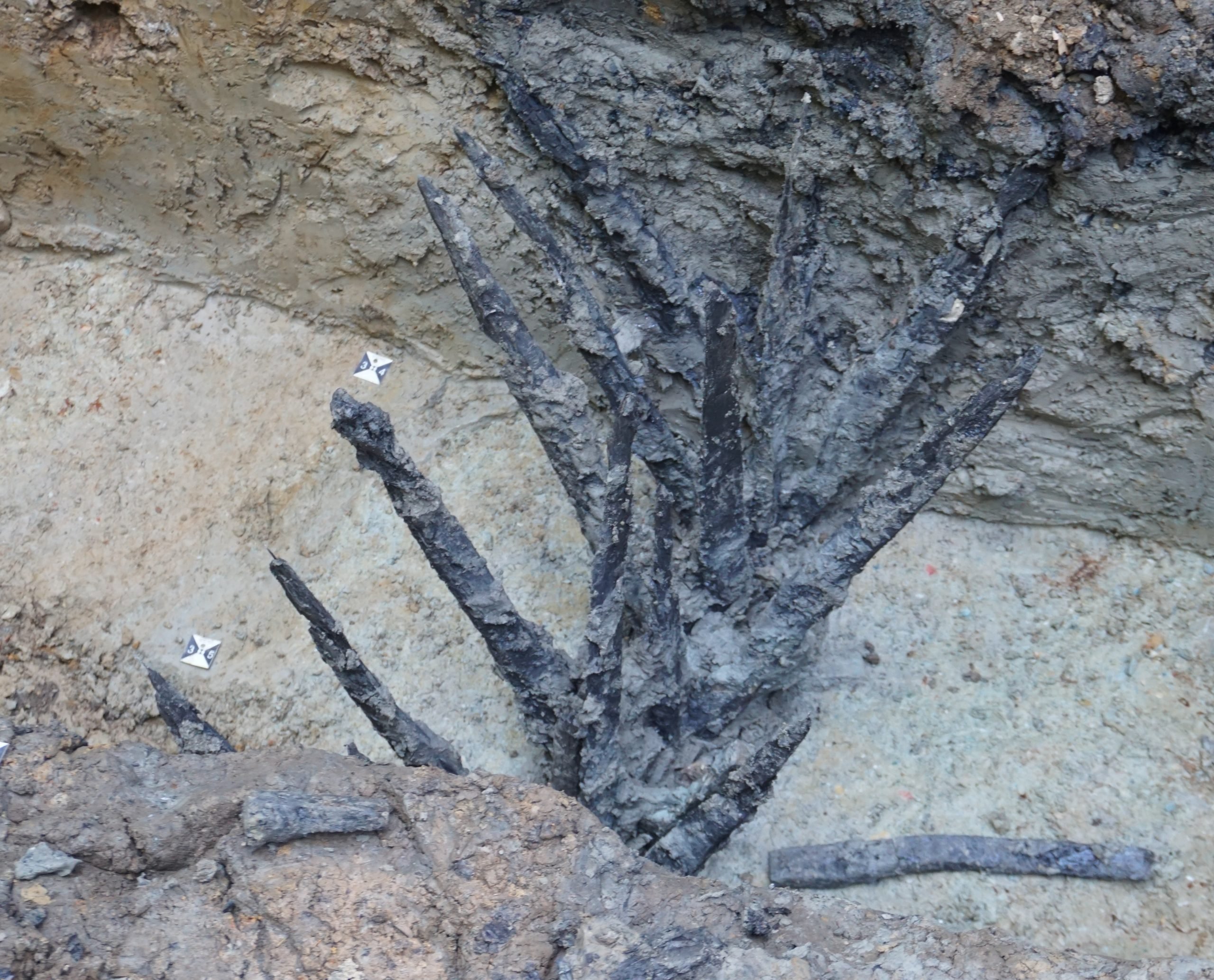 vThe ancient Romans erected a fence topped with these wooden spikes in a effort to defend a silver mining operation that ultimately ran dry. Photo by Frederic Auth.