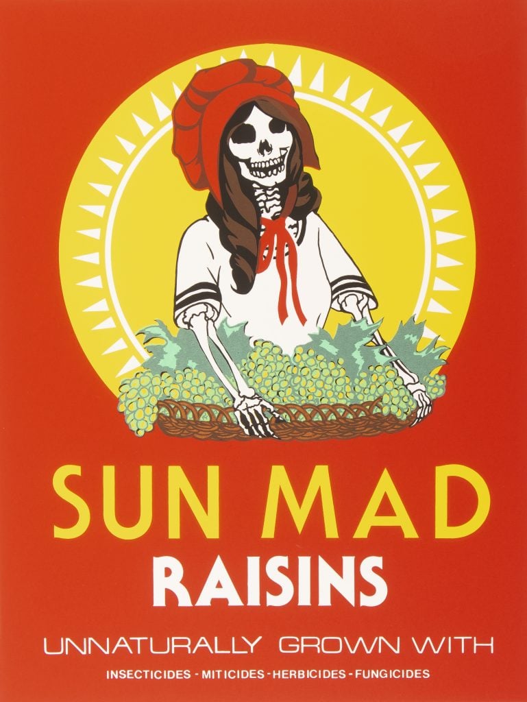 Ester Hernandez, Sun Mad (1982). Collection of the Blanton Museum of Art, the University of Texas at Austin, Gilberto Cárdenas Collection, Museum Acquisition Fund, 2022.
