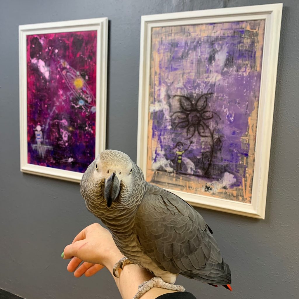 Zorba, African Grey Parrot, with installation view of "Audrey's Mist" (2023). Courtesy of Art to Save Lives Contemporary.