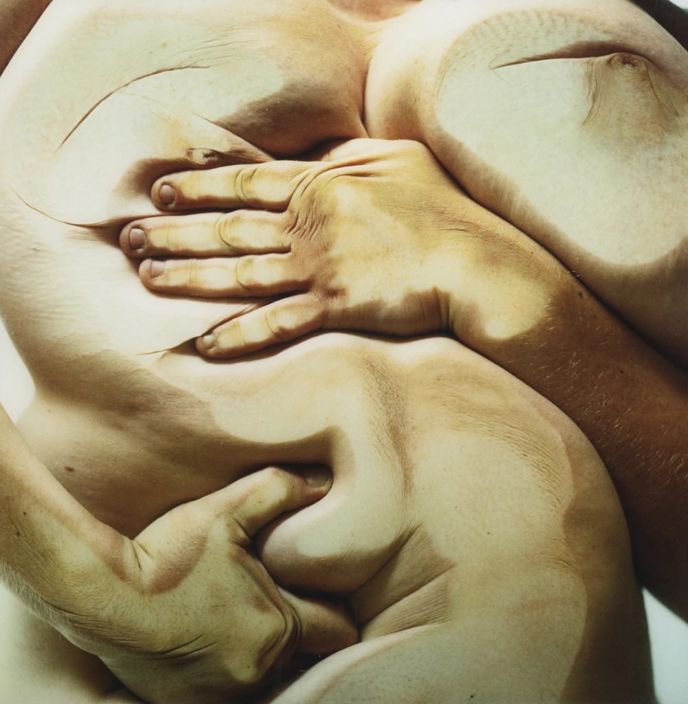 Glen Luchford and Jenny Saville, Closed Contact #3 (1995–96). Est. $20,000–$30,000.