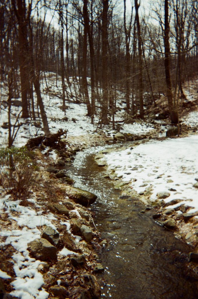 Our beautiful creek upstate – it’s the place where I actually get to relax. All I do is read books and go to movies.