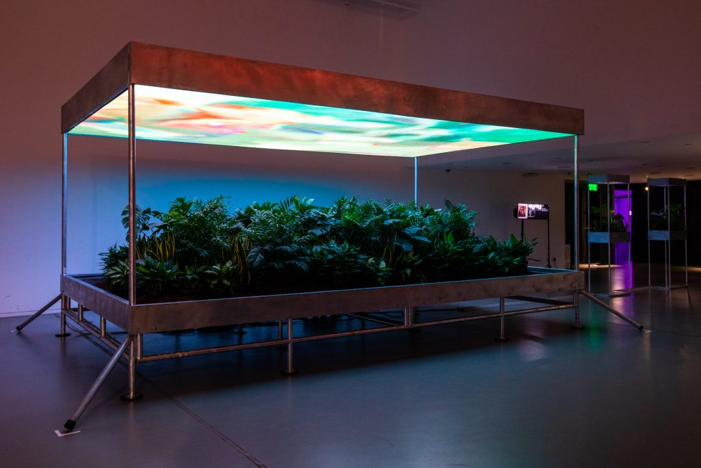 Keith Lam, TTTV Garden (2022–23). Courtesy of the Hong Kong Design Institute Gallery.